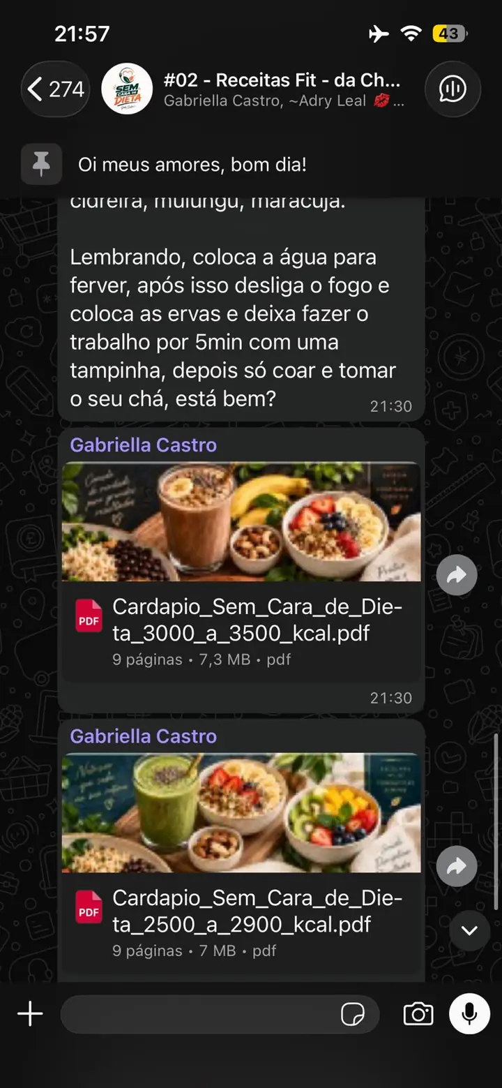 Print do grupo VIP com cardápios enviados pela Chef Gabriella Castro